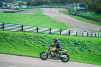 Lower Group Yellow Bikes